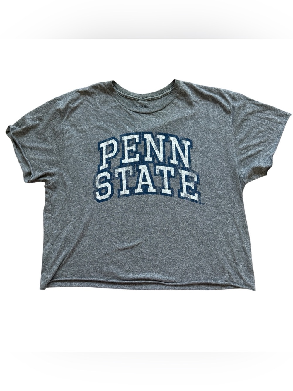 Original Retro Brand Penn State Nittany Lions Distressed Gray Tee Shirt Small